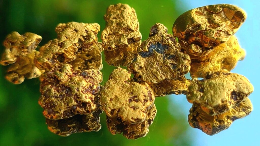 Raw gold nuggets